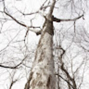 Meet your Posher, Menucha